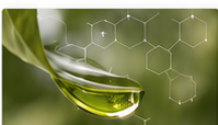 EDDHA chelated iron formulations