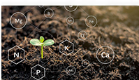 Glycine-chelated micronutrient applications
