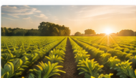 Special formulation fertilisers