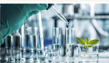 In-house laboratory analysis